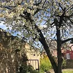 Confortable 2 Pers, Parking, Terrasse Privative - - Fr-1-744-52 * Merxheim