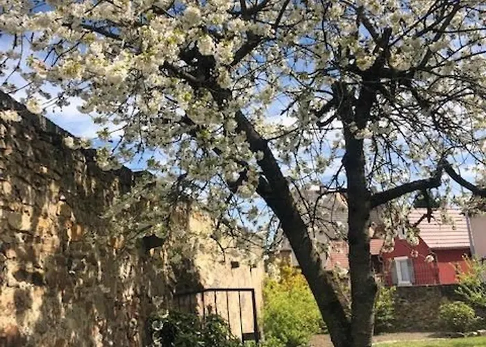 Confortable 2 Pers, Parking, Terrasse Privative - - Fr-1-744-52 * Merxheim